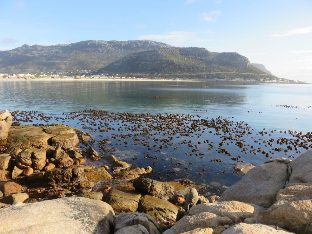 On-The-Rocks Apartment Fish Hoek Ngoại thất bức ảnh